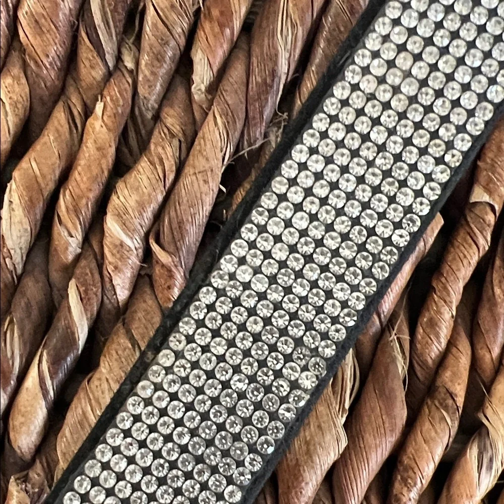 Elegant Black and Silver Dog Collar